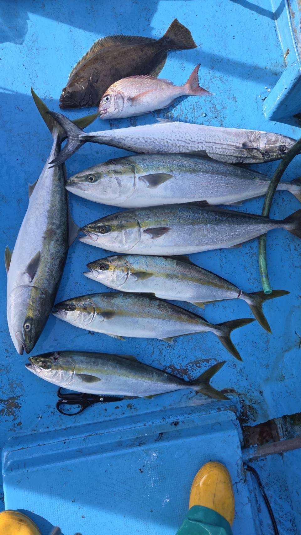IMG_6835